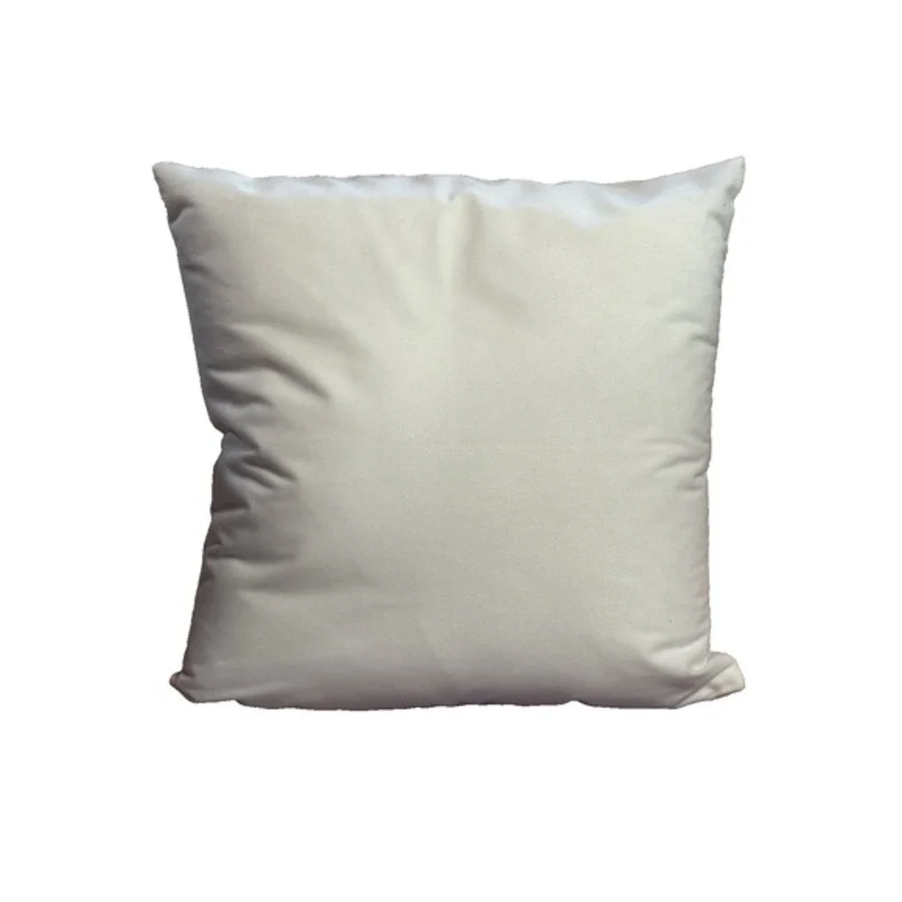 NEW novelty throw pillow 18x18 inches‎ pillowcase & insert included deviled eggs